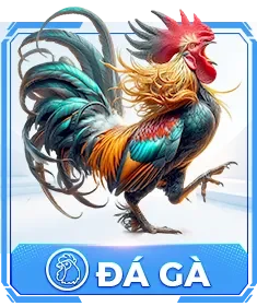 đá gà lx88